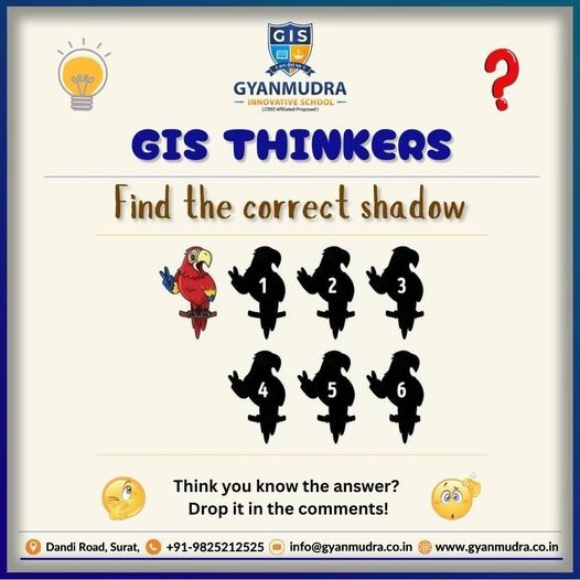 Find The Correct Shadow