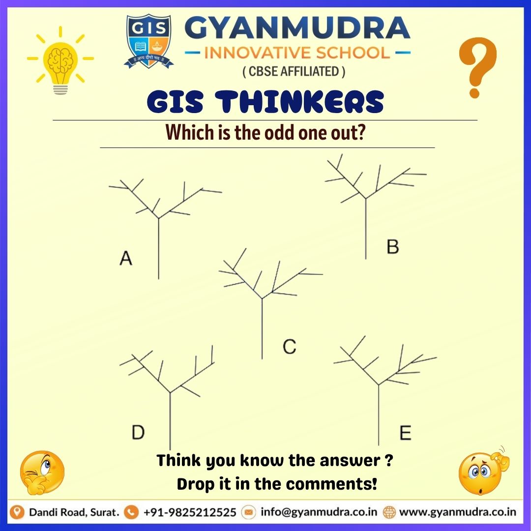 GIS THINKERS 1